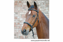 Briglia Star senza imboccatura – Passione Cavallo